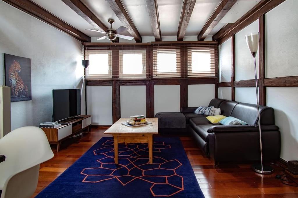 L'Or - Typical Alsacian Apartment In Strasbourg Exteriör bild